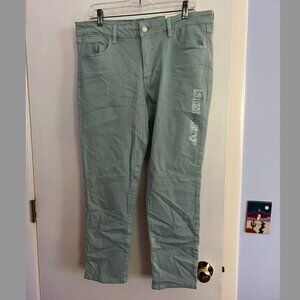 NWT Aerie Light Green Jegging Crop Pant, 18 (American Eagle)